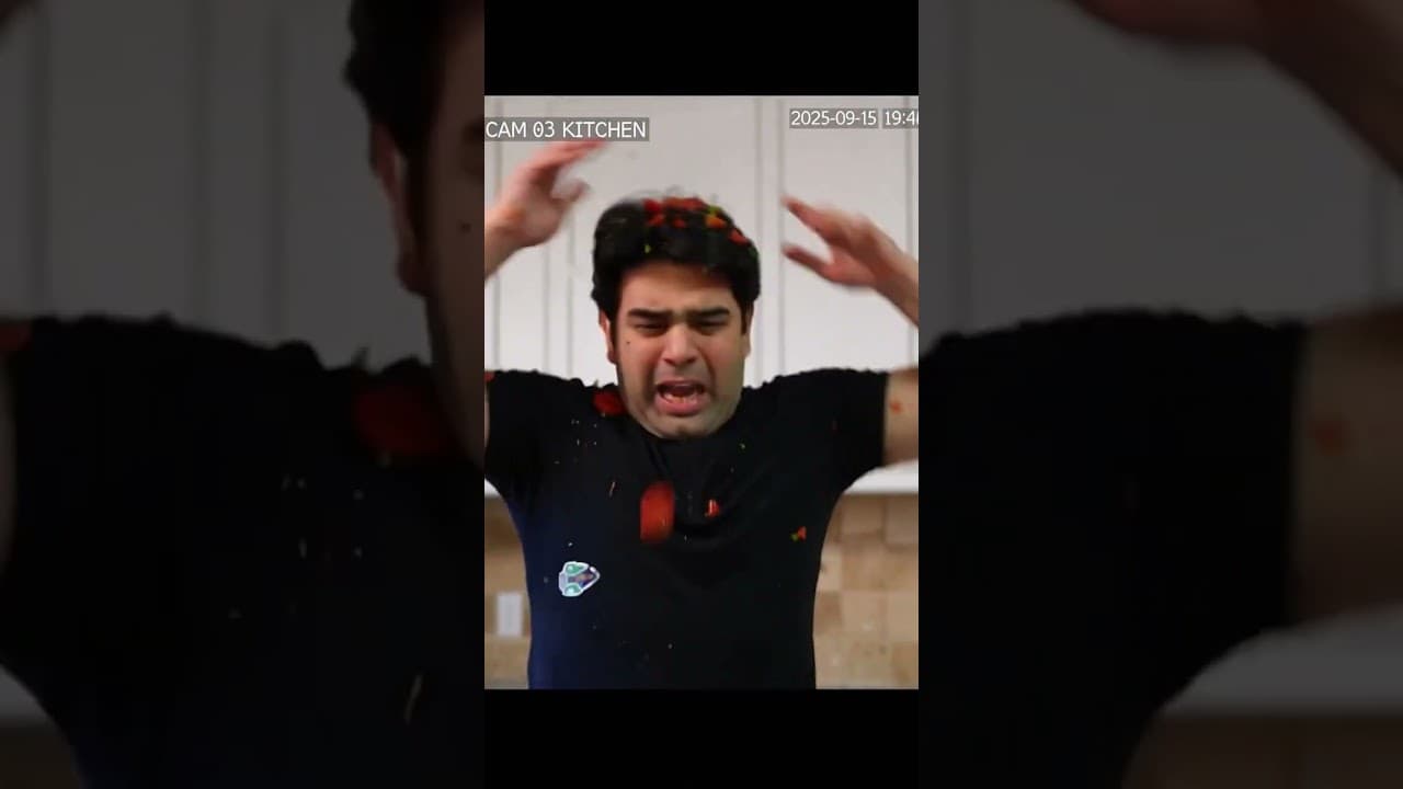 My Cat Stole the Chicken and the Ceiling Fan Diced Me Instead 🐱🍗🌪️