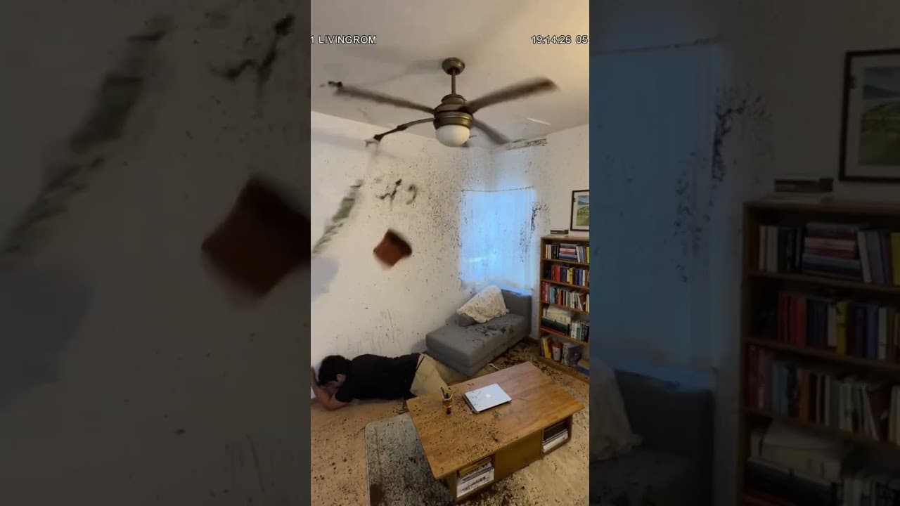 Hung a Plant From the Ceiling Fan and It Turned Into a Wrecking Ball 🪴🌪️