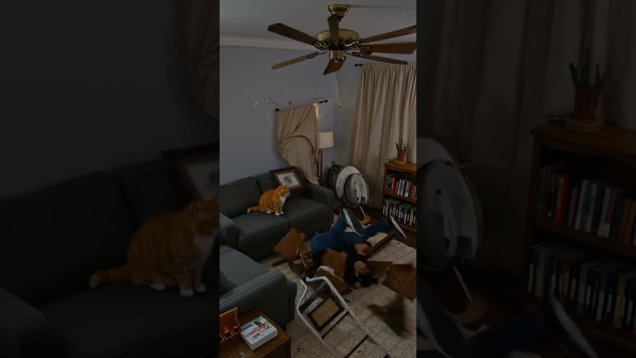 My Cat Turned On the Ceiling Fan While I Was On the Ladder 💡🐱🌪️