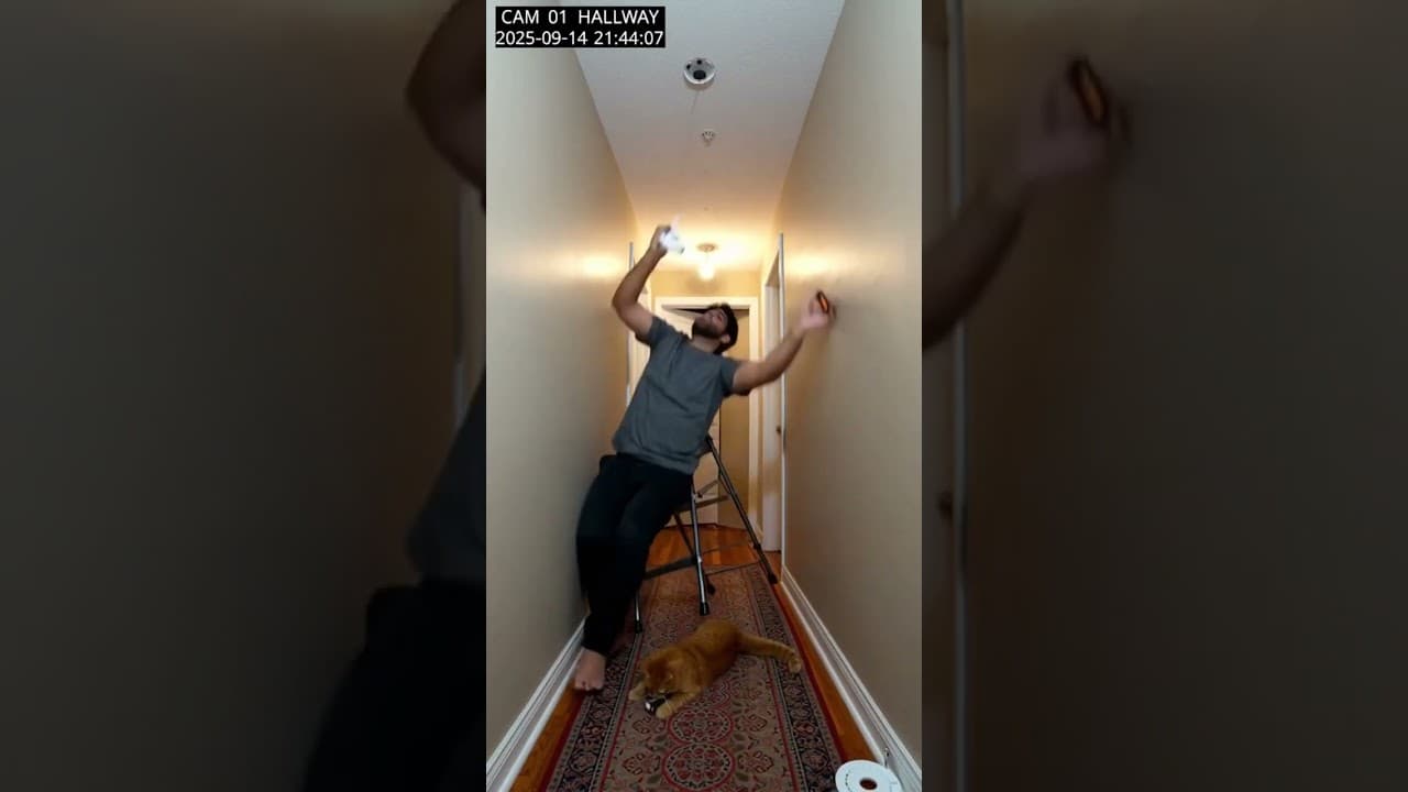 Tried to Change the Smoke Detector Battery and My Cat Sent Me Into the Bathtub 🔋🐱🛁