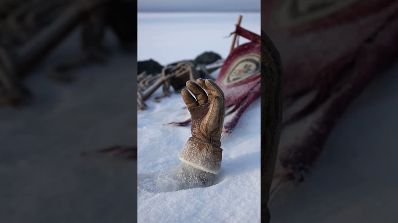 The Nihilist Penguin Found Something We Lost 114 Years Ago