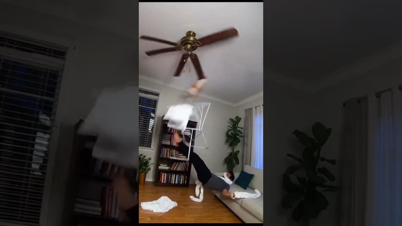 My Cat Turned On the Ceiling Fan During Laundry Day 👕🐱🌪️