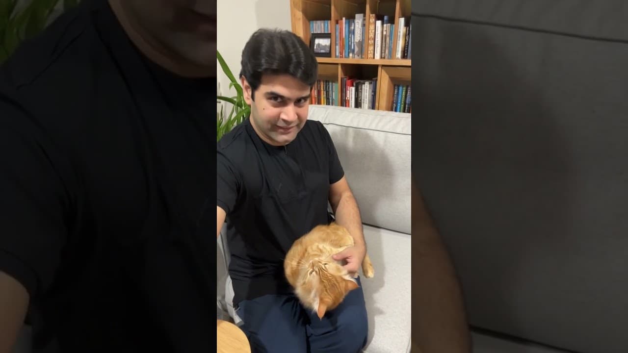 I Found the Copy-Paste Button for Cats! 🐱✨