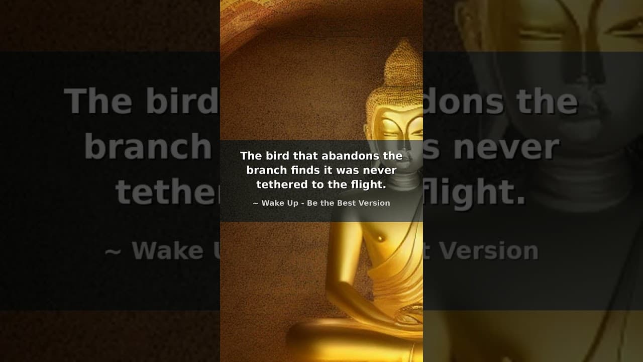 Release the Branch: True Freedom 🕊️