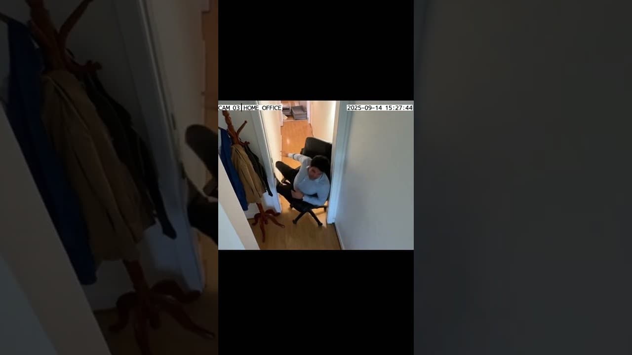 My Cat Walked Across My Laptop During a Work Call and Took Over the Meeting 🐱💻