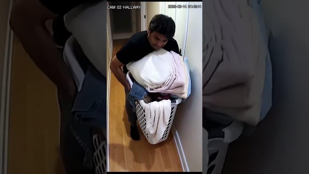 Something Was Hiding in My Laundry Basket and It Wasn't Clothes 🧺🐊💀