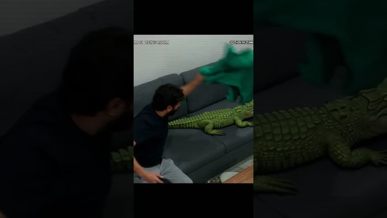 I Sat on a Crocodile Hiding on My Couch and Grabbed the Ceiling Fan 🐊🍿🌪️💀
