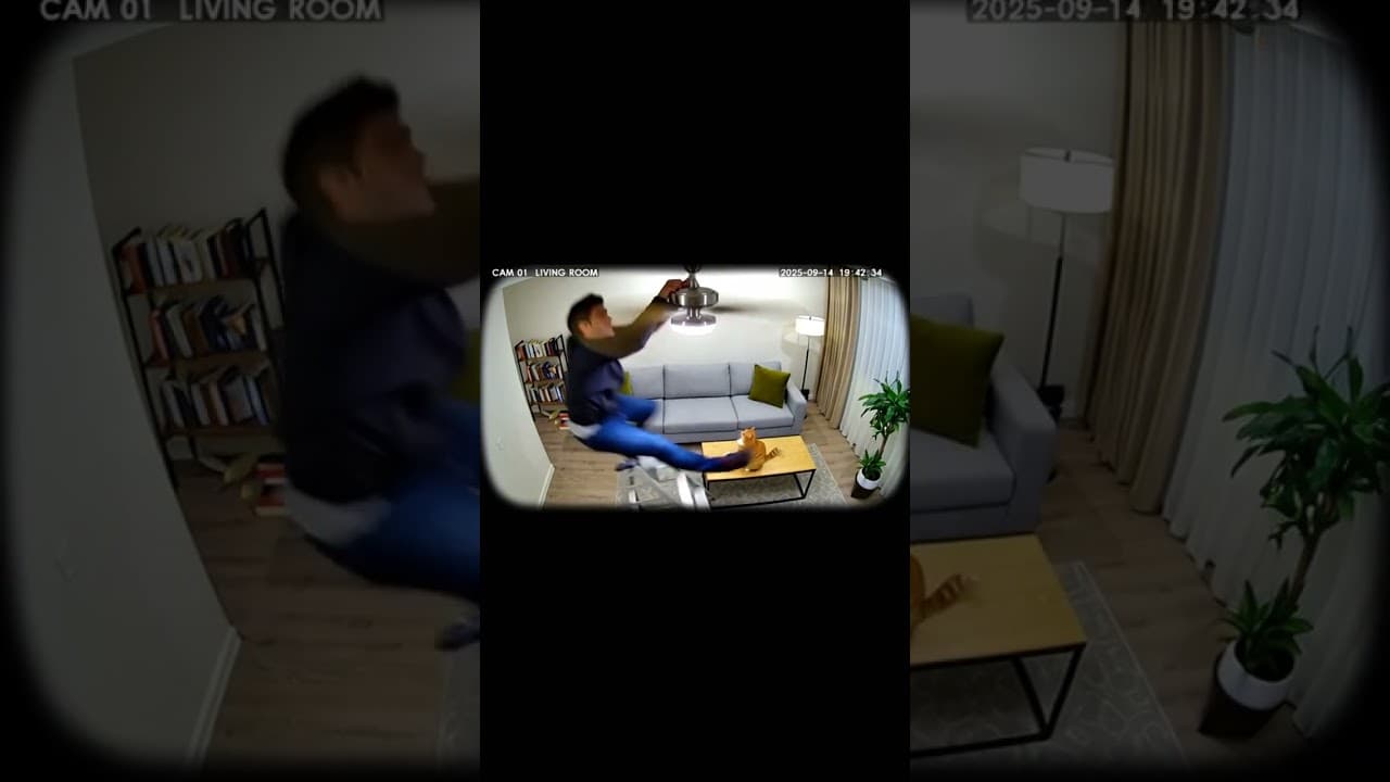 Installed a New Ceiling Fan and My Cat Found the Remote 🐱💨